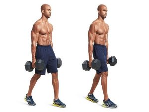 Cách tập tạ tay tại nhà hiệu quả cho người mới tập